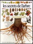 Les Secrets de l'arbre vignette
